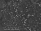 Ziarna węglanu wapnia (jasne) wytrącone na cząstkach pyłów atmosferycznych w tkance płucnej, widziane pod skaningowym mikroskopem elektronowym | fot. Mariola Jabłońska