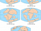 Przekształcenia kontynentów od czasów Pangei (250 milionów lat temu) do dziś. Źródło: https://pubs.usgs.gov/gip/dynamic/historical.html