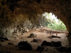 Jaskinia Liang Bua na wyspie Flores. Fot. By Rosino ([1]) [CC BY-SA 2.0 (http://creativecommons.org/licenses/by-sa/2.0)], via Wikimedia Commons