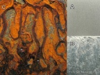 Zdjęcia powierzchni powłoki Zn-Mn wykonane (a) przed ekspozycją i (b) po ekspozycji w mgle solnej oraz (c) podłoża stalowego poddanego działaniu mgły solnej. Fot. Katarzyna Wykpis