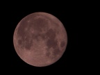 Krwawy Księżyc podczas zaćmienia. Fot. Ferdynand Szczepanik