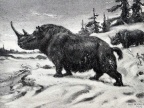 Nosorożec włochaty (obraz Charlesa Roberta Knighta, 1914)