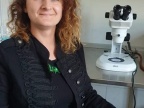 Dr Katarzyna Nowak