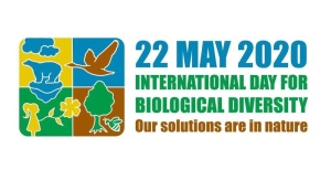 Międzynarodowy Dzień Różnorodności Biologicznej 2020 - logo
