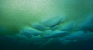 Naukowcy z Uniwersytetu w Tromsø i projektu BREATHE użyli łodzi podwodnej BlueEye pod lodem morskim. Na zdjęciu widać zielone glony na dnie lodu | Image credit: ESA / UiT / BREATHE