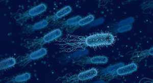 grupa płynących bakterii podświetlonych na niebiesko