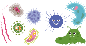 Rysunek humorystyczny - różne drobnoustroje - bakterie, wirusy, grzyby, pleśnie