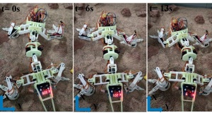 Prototyp robota-jaszczurki wspinający się na imitację marsjańskiej skały podczas testów. Źródło: https://www.mdpi.com/2313-7673/8/1/44