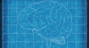 Szkic mózgu z tablicą szkolną w tle
