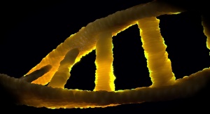 Helisa DNA. Fot. Pixbay, domena publiczna