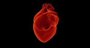 czerwone serce (organ) na czarnym tle