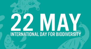 Międzynarodowy Dzień Różnorodności Biologicznej - ikonografia wydarzenia