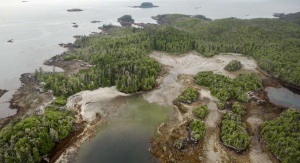 Triquet Island. Foto: Grant Callegari/Hakai Institute