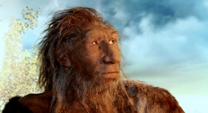 Model neandertalczyka według projektu Marty Szubert, znajdujący się w zbiorach Muzeum Wydziału Nauk o Ziemi UŚ 
