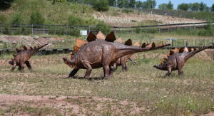 Jedną z najbardziej znanych grup dinozaurów są stegozaury, których rozkwit przypadał prawdopodobnie na środkową i późną jurę. Teleocrater rhadinus żył znacznie wcześniej, ale jest ważnym ogniwem w zrozumieniu, jak archozaury ewoluowały w zwierzęta takie jak stegozaur. Na zdjęciu stegozaury z JuraParku w Krasiejowie.