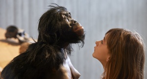 Rekonstrukcja żeńskiego osobnika Australopithecus afarensis w Neanderthal-Museum, Mettmann | Image credit: Neanderthal-Museum, Mettmann, CC BY-SA 4.0, via Wikimedia Commons