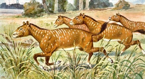 Mesohippus (z gr. półkoń) to przedstawiciel rodziny koniowatych, który żył ok. 34–32 milionów, czyli na przełomie eocenu i oligocenu, a wszystkie kończyny miał zakończone trzema palcami. Obraz Heinricha Hardera z 1920 roku, pl.wikipedia.org.