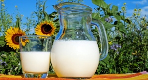 szklanka i dzbanek z mlekiem stojące na stole, w tle pole słoneczników
