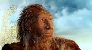 Model neandertalczyka według projektu Marty Szubert, znajdujący się w zbiorach Muzeum Wydziału Nauk o Ziemi UŚ