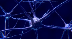 Czy funkcja, którą spełniały połączenia nerwowe zerwane przez chorobę Alzheimera może być zrealizowana przez inne, jeśli odpowiednio przeorientujemy działania chorej osoby? Foto: domena publiczna (Pixabay.com)