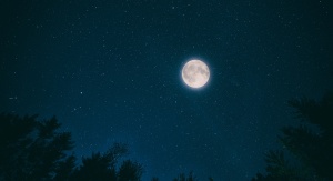Księżyc na gwieździstym niebie, w ramie nocnego lasu