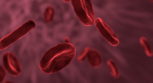 czerwone krwinki - komputerowa wizualizacja