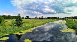 Rzeka Ełk w okolicach Grajewa | fot. Agnieszka Czajka