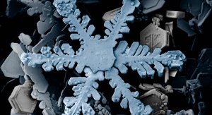 Płatek śniegu widziany pod mikroskopem elektronowym. Fot. domena publiczna