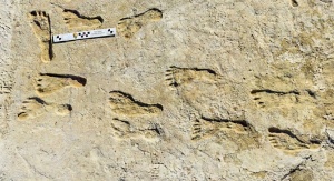 Skamieniałe odciski ludzkich stóp w White Sands | Image credit: NPS Photo / www.nps.gov/whsa/learn/nature/fossilized-footprints.htm