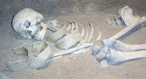 Szkielet kobiety w Muzeum Archeologicznym w Biskupinie. Fot. FxJ, domena publiczna