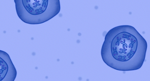 rysunek obrazujący chromosomy w komórkach