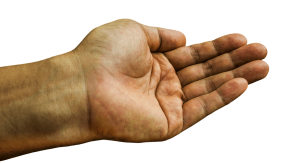 Zdjęcie przedstawia lewą dłoń