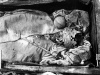 Szczątki Stefana Batorego w katedrze na Wawelu (1930) | fot. Narodowe Archiwum Cyfrowe, sygn. 3/1/0/9/2724
