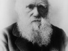 Charles Darwin Fot. Elliott & Fry - Library of Congress