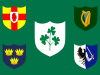 Flaga Irish Rugby Football Union. W lewym górnym roku herb prowincji Ulster, w prawym górnym – Leinster, w lewym dolnym – Munster, w prawym dolnym – Connacht. Fot. wikipedia.org