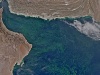 Fitoplankton rozwijający się w Morzu Arabskim zimą 2015 roku. Foto: NASA Earth Observatory