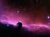 Mgławica Koński Łeb. Fot. NASA