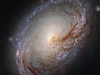 Galaktyka spiralna oddalona o ponad 35 milionów lat świetlnych od Ziemi w gwiazdozbiorze Lwa. Fot. ESA/Hubble & NASA and the LEGUS Team, Acknowledgement: R. Gendler