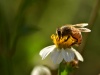 Źródło: domena publiczna - pixabay.com Źródło: domena publiczna - pixabay.com