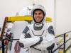 Marcus Wandt, astronauta projektowy ESA | Image credit: SpaceX