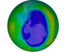 Braki w warstwie ozonowej 21 września 2015 roku. Źródło: NASA