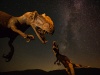 Photo by Stephen Leonardi on Unsplash Photo by Stephen Leonardi on Unsplash