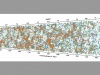 Największa trójwymiarowa mapa Wszechświata sprzed 7 mld lat. Fot. VIPERS
