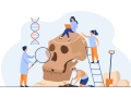 Grafika przedstawiająca naukowców badających gigantyczną czaszkę małpoluda | fot. <a href="https://www.freepik.com/free-vector/tiny-anthropologists-studying-neanderthal-skull-flat-illustration_11235903.htm">Image by pch.vector</a> on Freepik