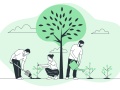 rysunek - osoby sadzące drzewa