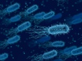 grupa płynących bakterii podświetlonych na niebiesko