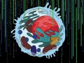 Naukowcy z UC San Diego wprowadzają Multi-Scale Integrated Cell (MuSIC), technikę, która łączy mikroskopię, biochemię i sztuczną inteligencję, ujawniając nieznane wcześniej składniki komórki, które mogą dostarczyć nowych wskazówek dotyczących rozwoju człowieka i chorób. (Renderowanie koncepcyjne artysty.)