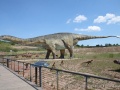 Amficelias (Amphicoelias fragillimus), największy dinozaur, jaki chodził po Ziemi