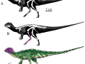 Rekonstrukcja wyglądu dinozaura