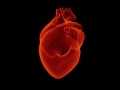 czerwone serce (organ) na czarnym tle